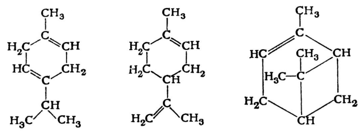 Terpene Formel an der Zenidol Crème